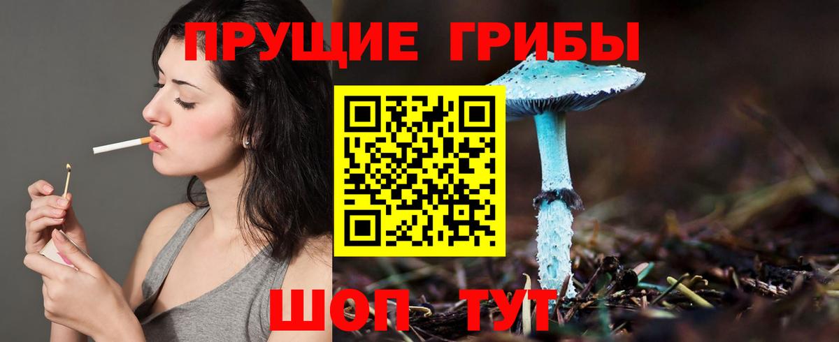 Псилоцибиновые грибы ЛСД  Псилоцибиновые грибы MAGIC MUSHROOMS  Вход с VPN  Заречный 